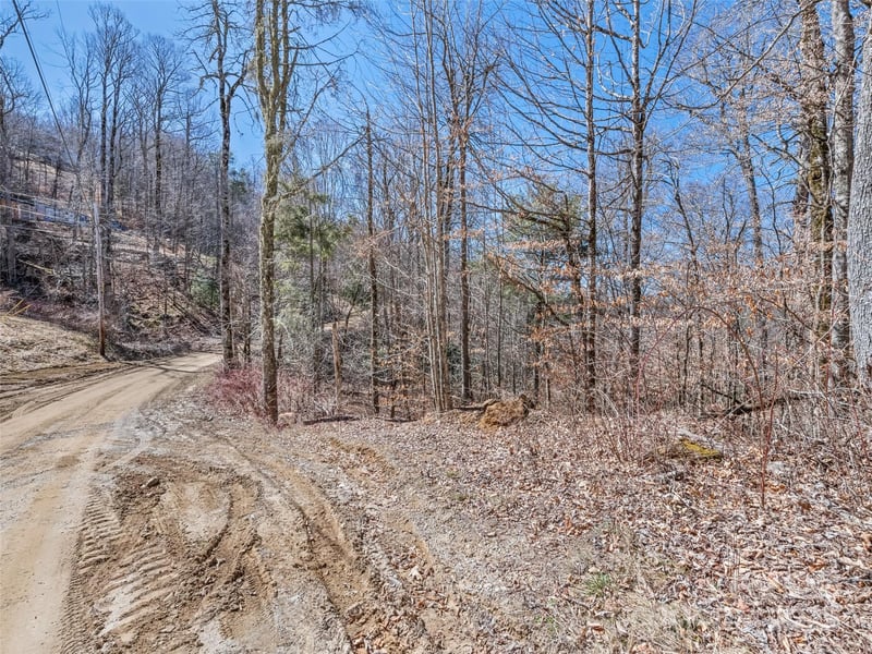 Spruce Flats Rd, Maggie Valley, NC 28751