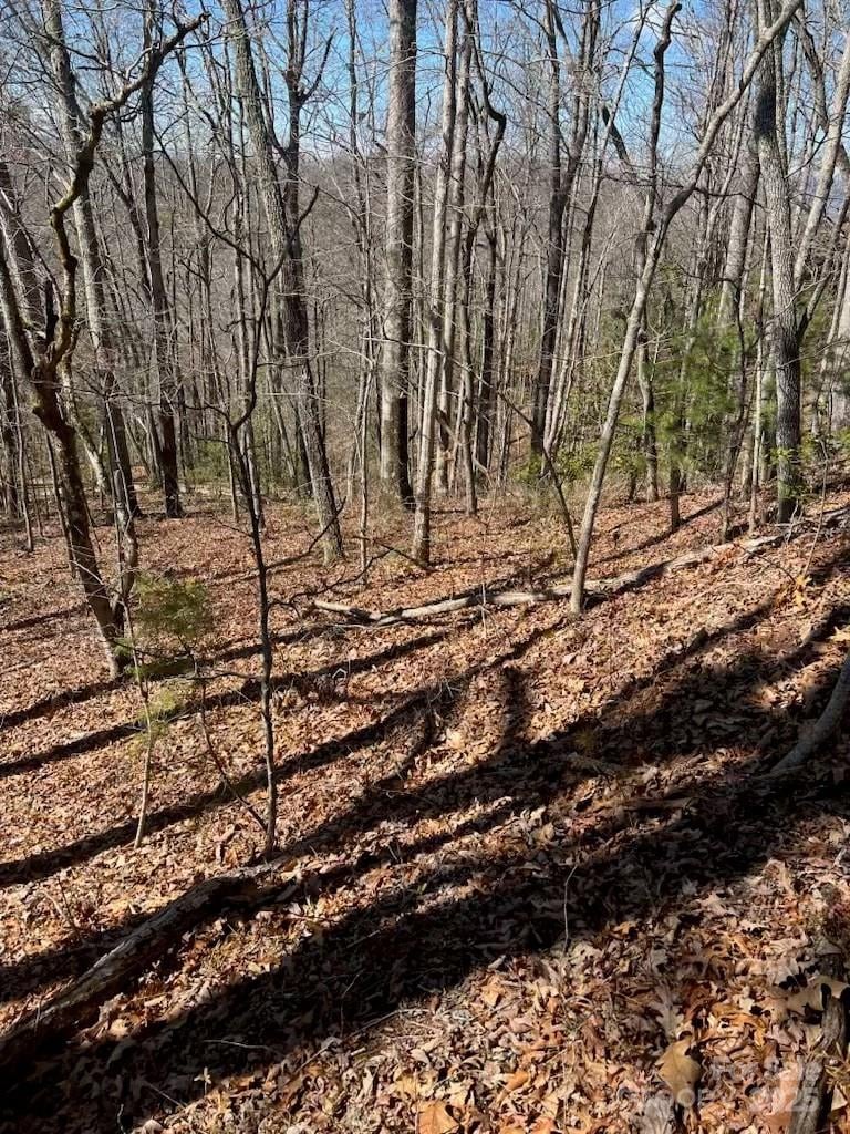 00 Timberland Trl, Franklin, NC 28734