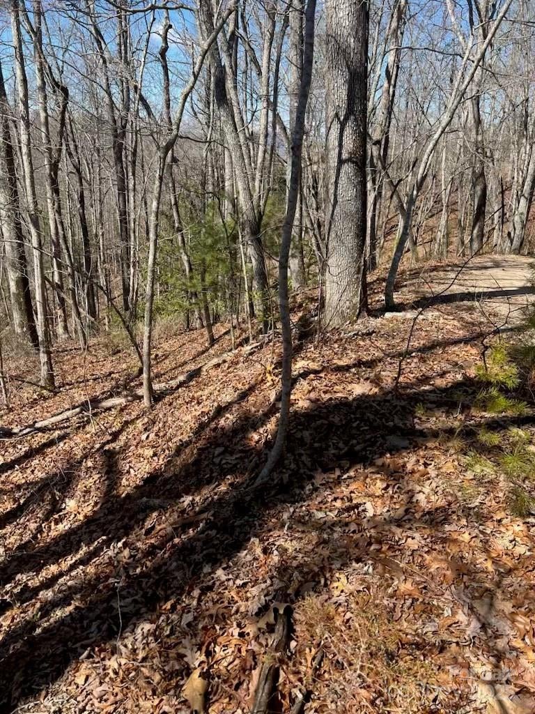 00 Timberland Trl, Franklin, NC 28734