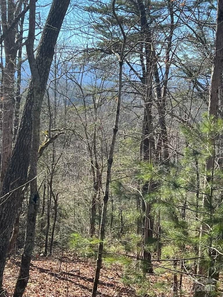 00 Timberland Trl, Franklin, NC 28734