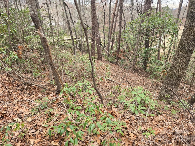 Lot 28 Roundabout Rd, Lake Lure, NC 28746