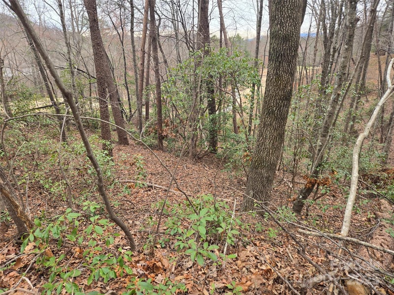 Lot 28 Roundabout Rd, Lake Lure, NC 28746