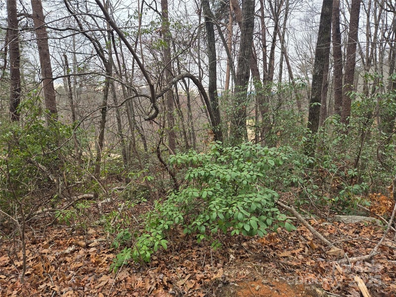 Lot 28 Roundabout Rd, Lake Lure, NC 28746