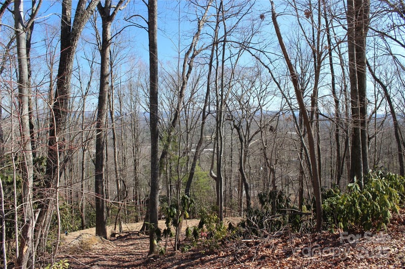 83 Curtain Bluff #r6, Hendersonville, NC 28791
