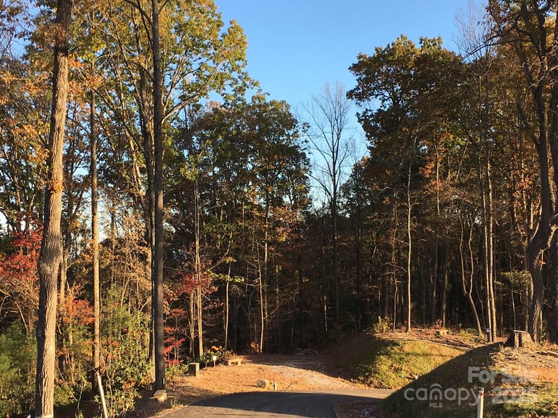 83 Curtain Bluff #r6, Hendersonville, NC 28791