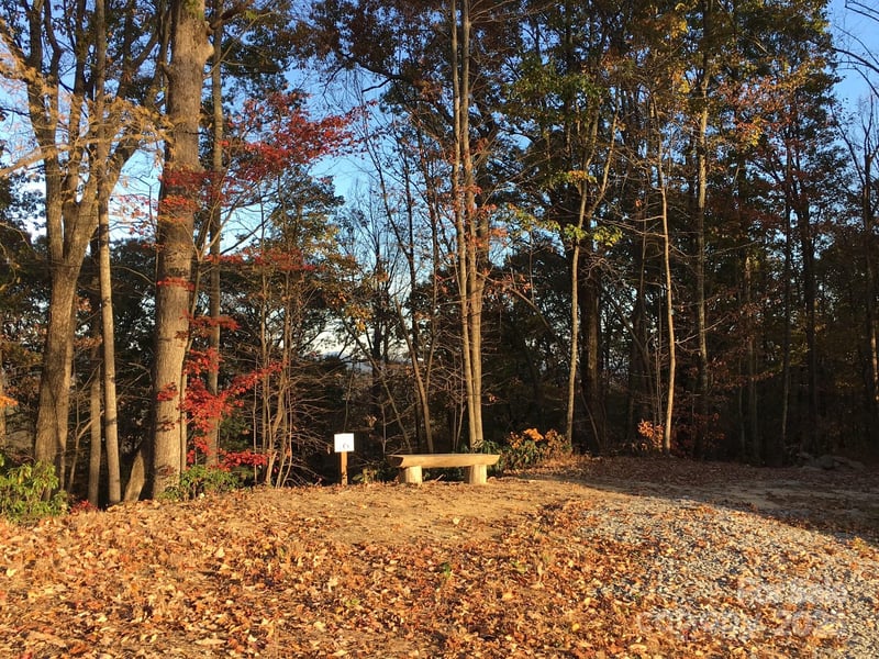 83 Curtain Bluff #r6, Hendersonville, NC 28791