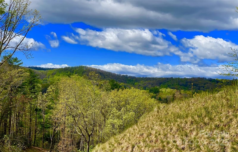83 Curtain Bluff #r6, Hendersonville, NC 28791
