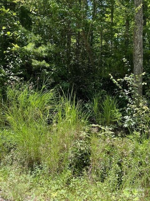 Pleasant Grove Church Rd #3A, Hendersonville, NC 28792
