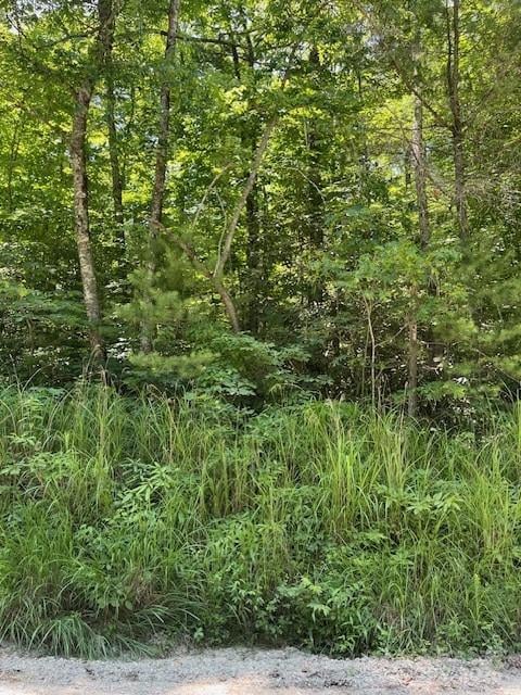 Pleasant Grove Church Rd #3A, Hendersonville, NC 28792