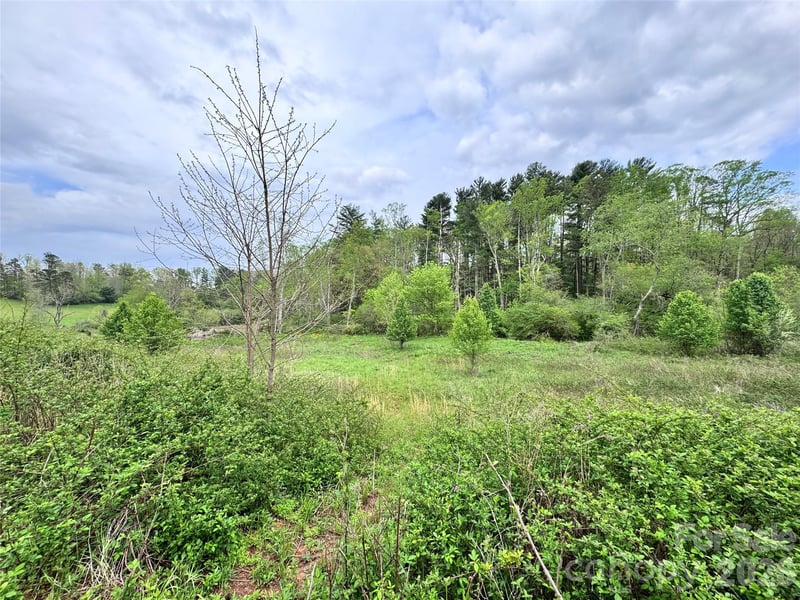 38 Flourish Farm Ln, Asheville, NC 28806