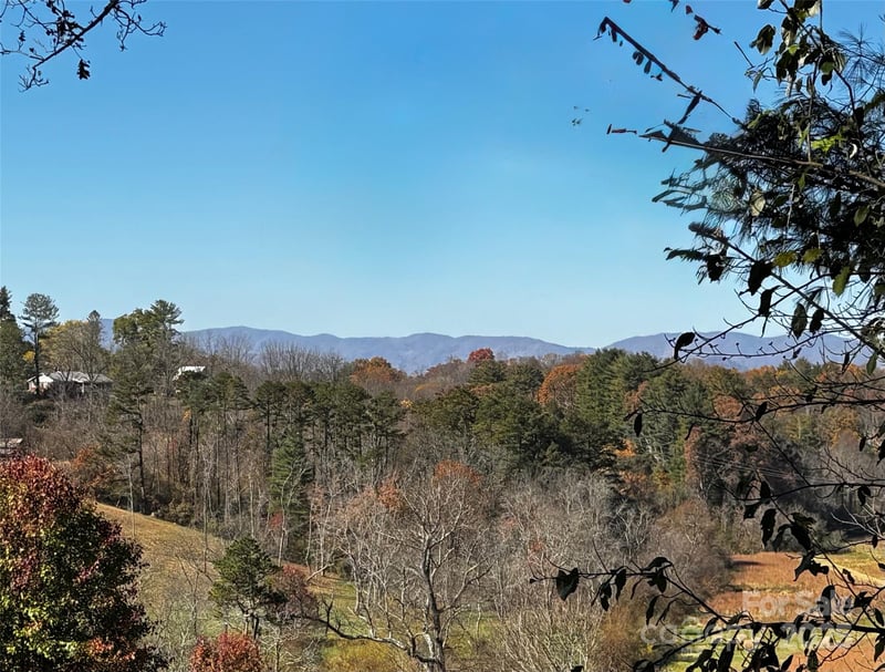 38 Flourish Farm Ln, Asheville, NC 28806