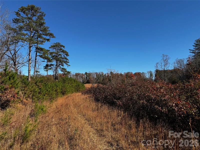 38 Flourish Farm Ln, Asheville, NC 28806