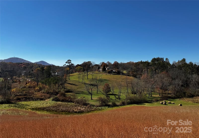 38 Flourish Farm Ln, Asheville, NC 28806