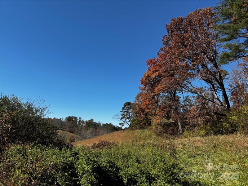 38 Flourish Farm Ln, Asheville, NC 28806