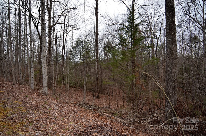 Bent Creek Dr #32, Nebo, NC 28761