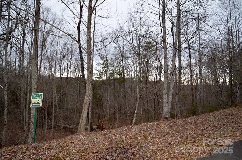 Bent Creek Dr #32, Nebo, NC 28761
