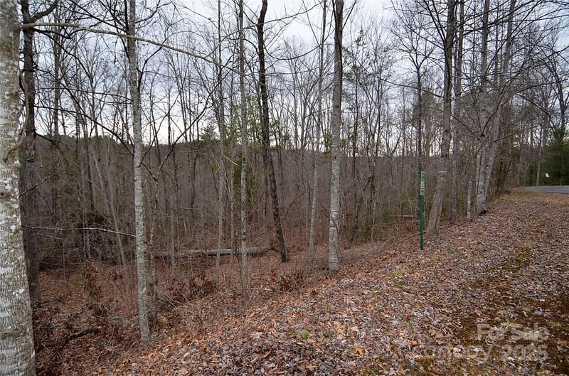 Bent Creek Dr #32, Nebo, NC 28761
