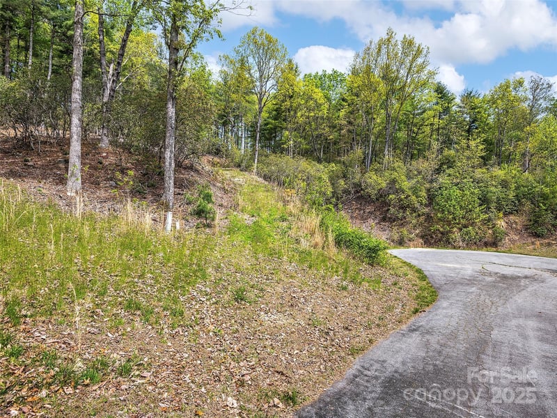 Winterberry Dr, Hendersonville, NC 28739
