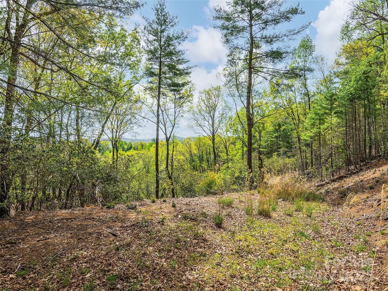 Winterberry Dr, Hendersonville, NC 28739