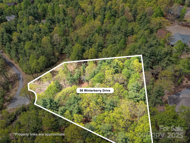 Winterberry Dr, Hendersonville, NC 28739