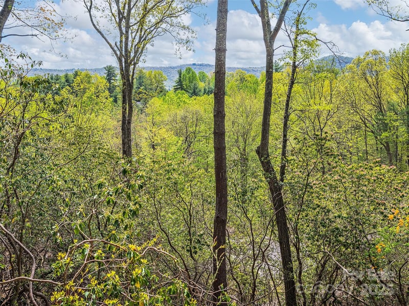 Winterberry Dr, Hendersonville, NC 28739