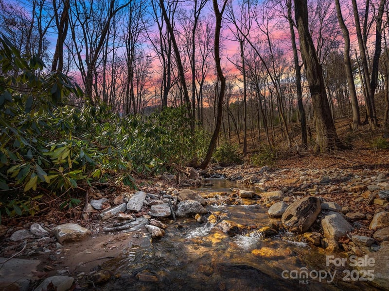 000 Stafford Ln #2065, Mill Spring, NC 28756