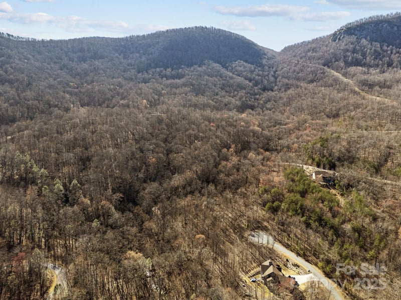 000 Stafford Ln #2065, Mill Spring, NC 28756