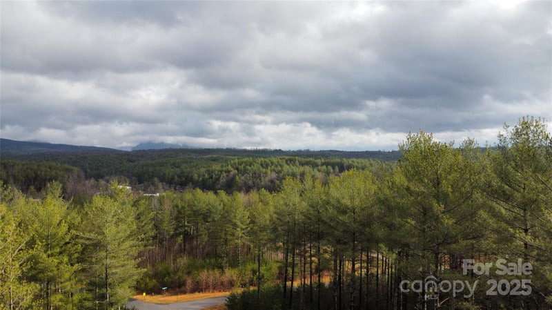26 Peninsula Reserve Rd #26, Nebo, NC 28761