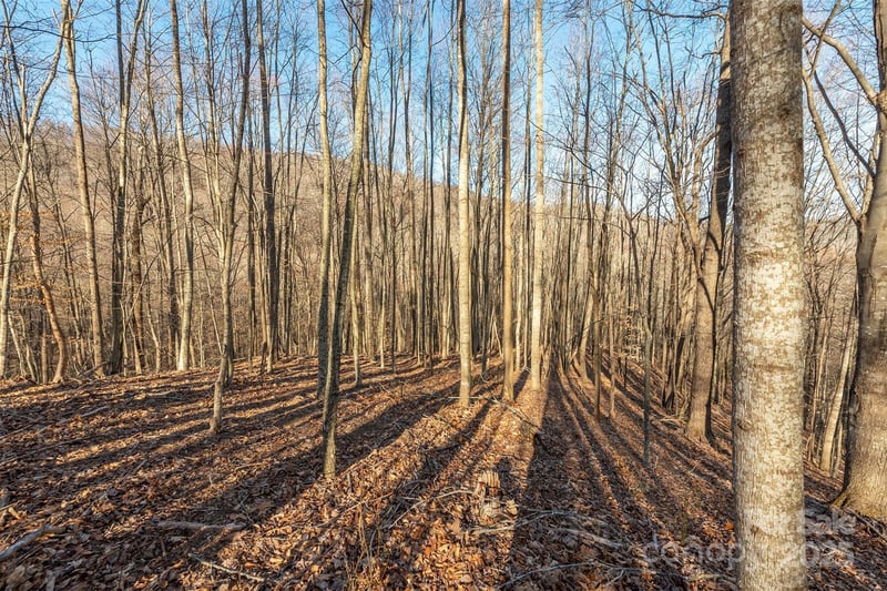 885 Stoney Stream Ln, Arden, NC 28704