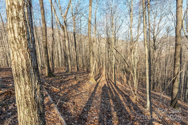 885 Stoney Stream Ln, Arden, NC 28704