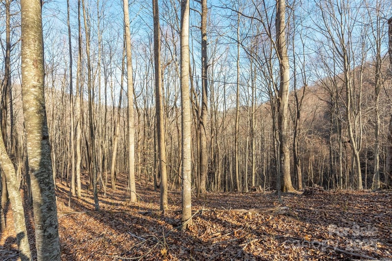 885 Stoney Stream Ln, Arden, NC 28704