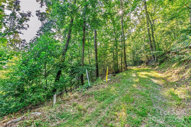 Lot W13 Curtain Bluff, Hendersonville, NC 28791