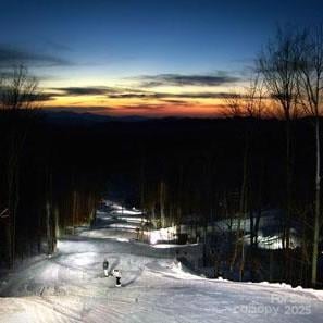 Lot 67 Mystic Ridge Rd #67, Mars Hill, NC 28754