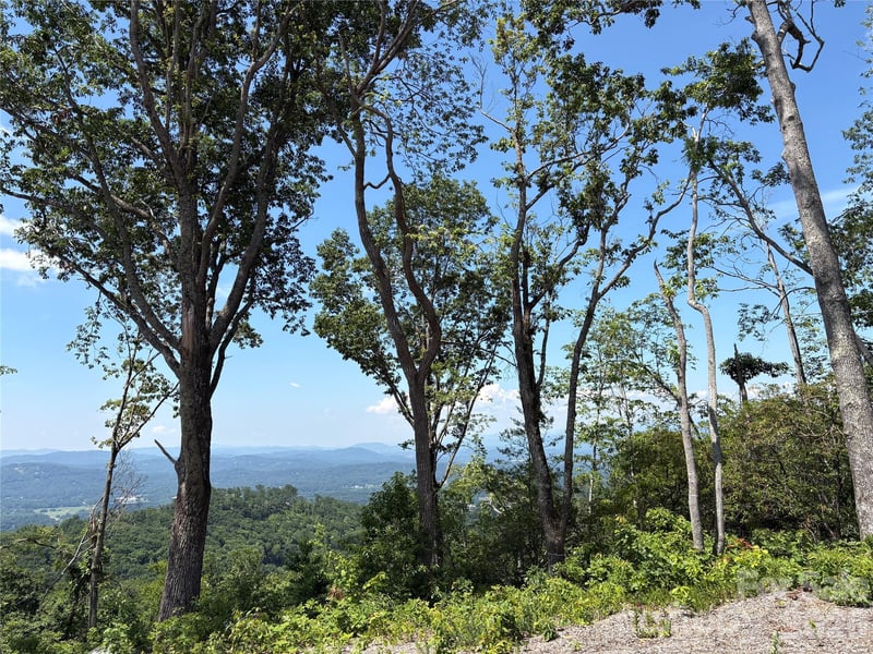 Lot 50 Mountain Grove Ln #50, Fletcher, NC 28732