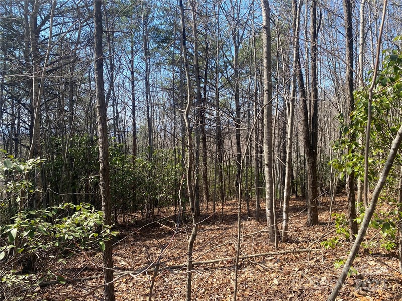 Lot 72 Mountain Crest Dr, Marion, NC 28752