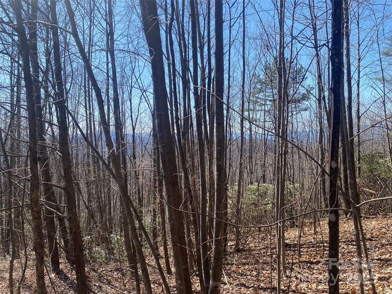 Lot 72 Mountain Crest Dr, Marion, NC 28752