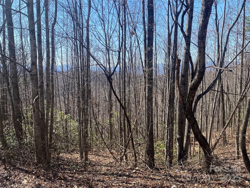 Lot 72 Mountain Crest Dr, Marion, NC 28752