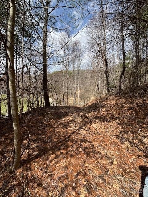 25 Green Meadow Ln #25, Mars Hill, NC 28754