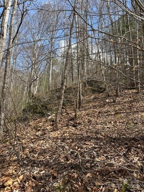25 Green Meadow Ln #25, Mars Hill, NC 28754