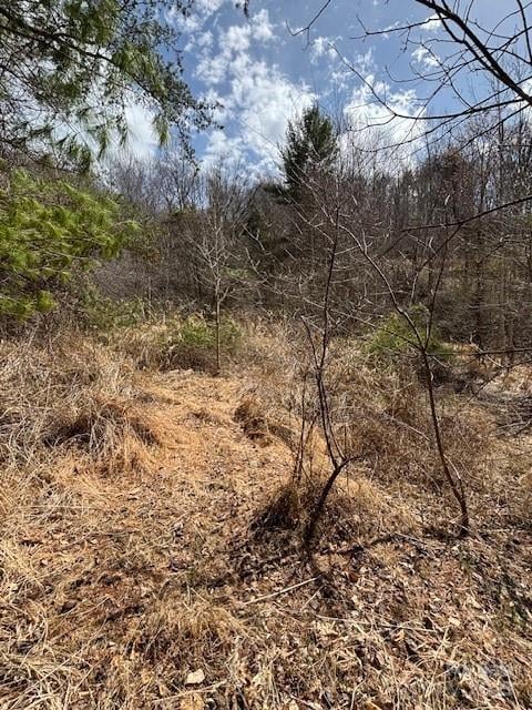 25 Green Meadow Ln #25, Mars Hill, NC 28754