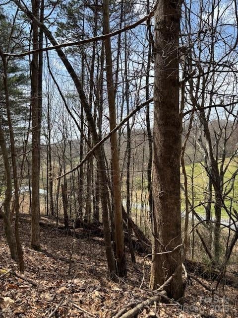 25 Green Meadow Ln #25, Mars Hill, NC 28754