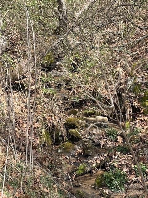 25 Green Meadow Ln #25, Mars Hill, NC 28754