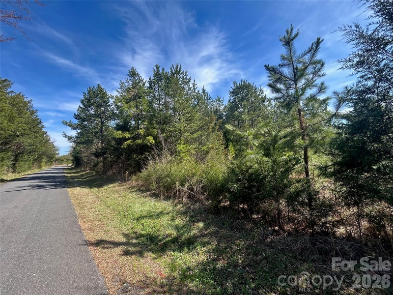 TBD Green Pond Rd, Indian Land, SC 29707