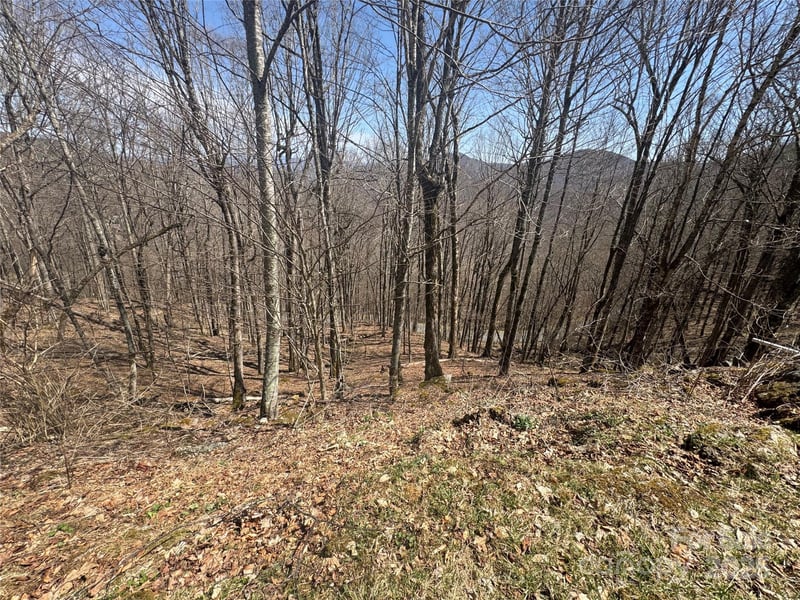 14 - 16 Overlook Dr, Mars Hill, NC 28754