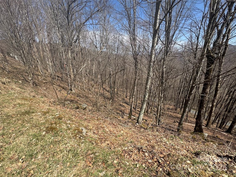 14 - 16 Overlook Dr, Mars Hill, NC 28754