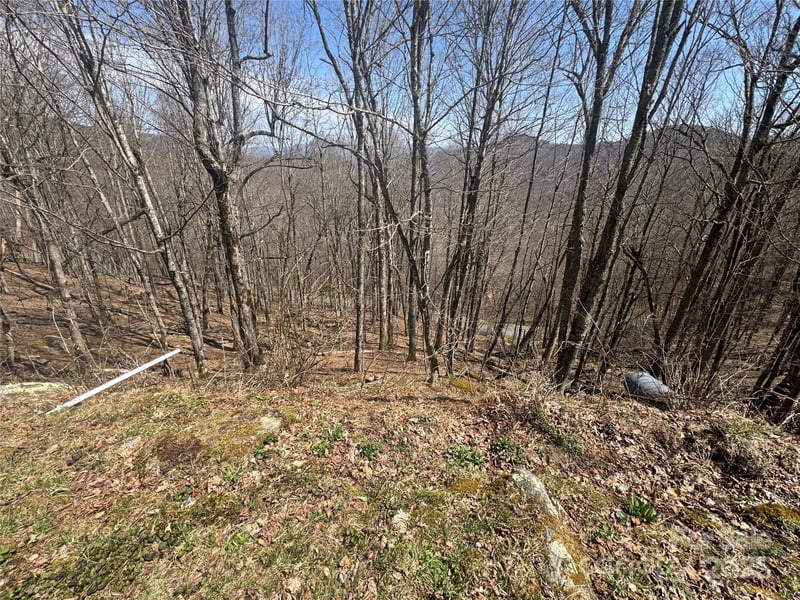 14 - 16 Overlook Dr, Mars Hill, NC 28754