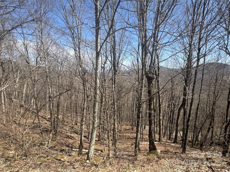 14 - 16 Overlook Dr, Mars Hill, NC 28754