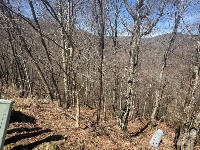 53 - 55 Running Cedar Dr, Mars Hill, NC 28754