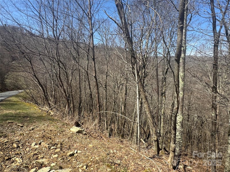 53 - 55 Running Cedar Dr, Mars Hill, NC 28754