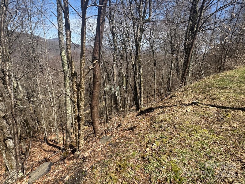 53 - 55 Running Cedar Dr, Mars Hill, NC 28754